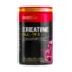 Biogen Creatine All-In-1 Berry Burst - 300g
