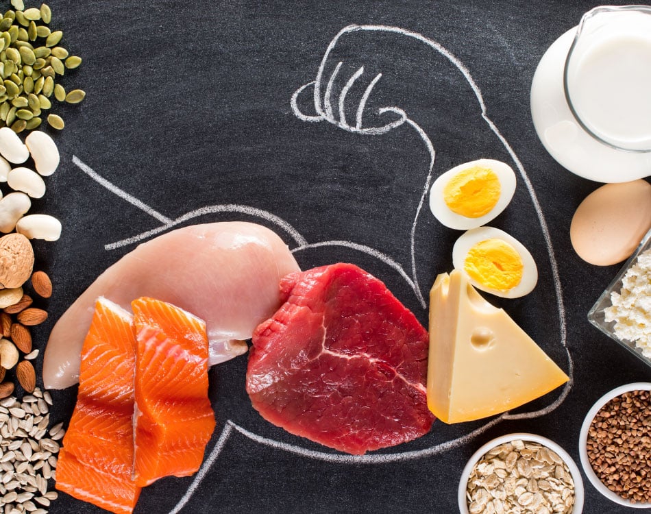 Beyond-muscles--Discover-why-protein-is-important-of-life,-health-&-performance