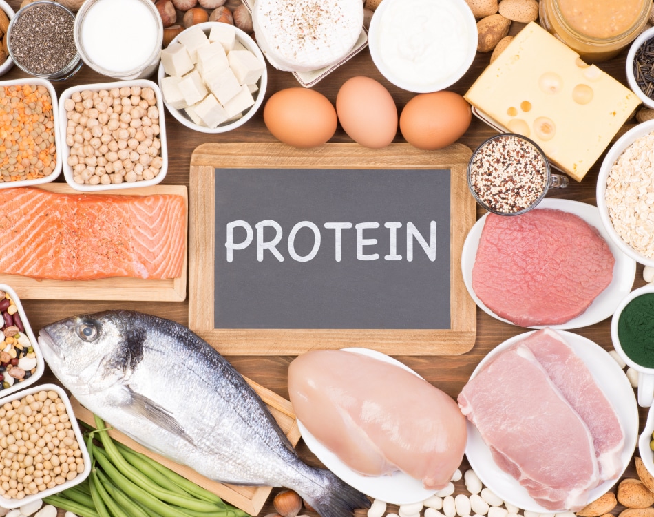 Support fat-loss with protein