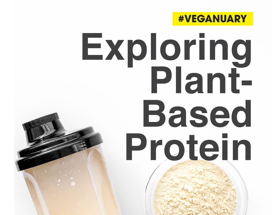 Plant-Based Protein